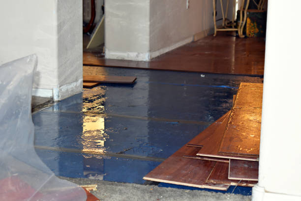 Professional Structural Drying technician working in Poland, ME